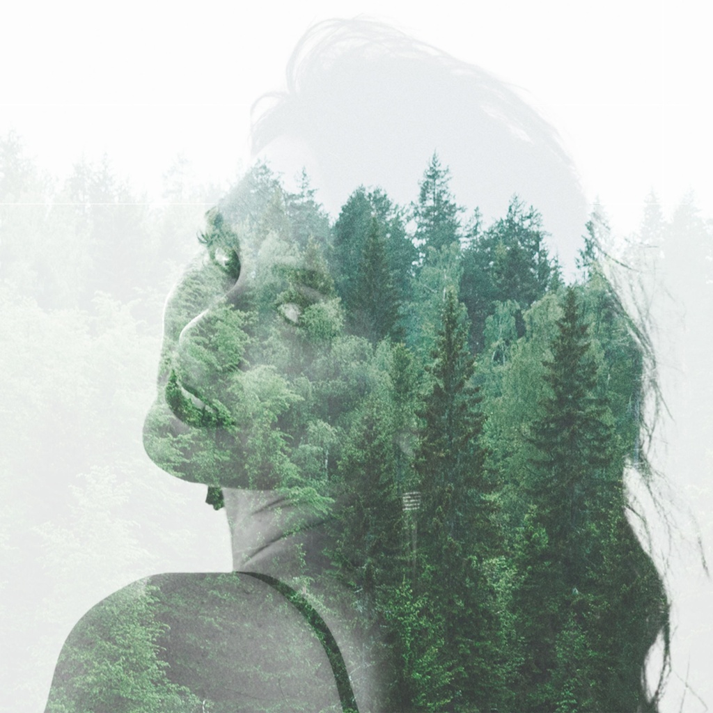 BEFRIENDING A TREE | YOUR FIRST CONVERSATION